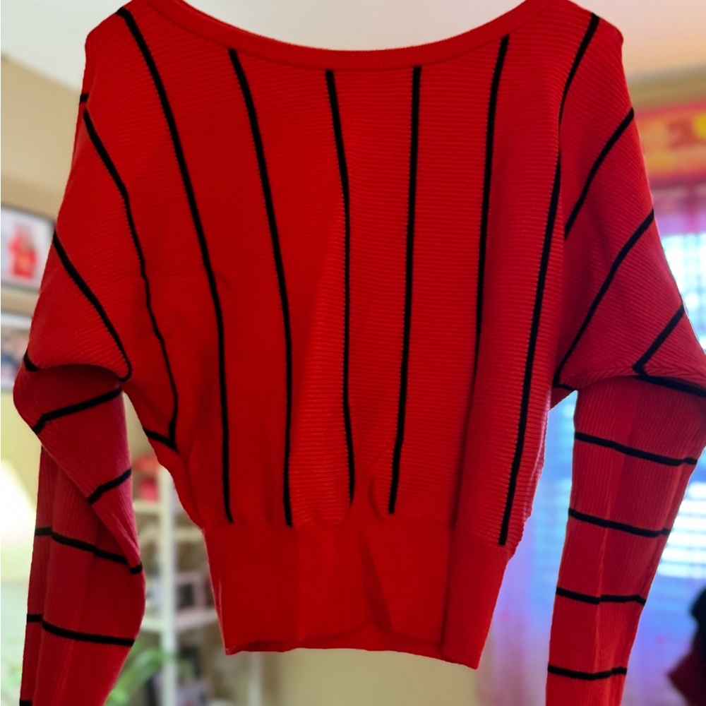 Express red and black sweater.  Worn once